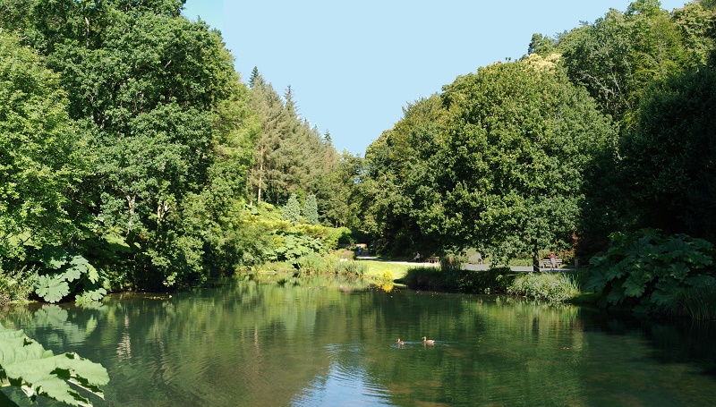 Jardin du Conservatoire Botanique National de Brest